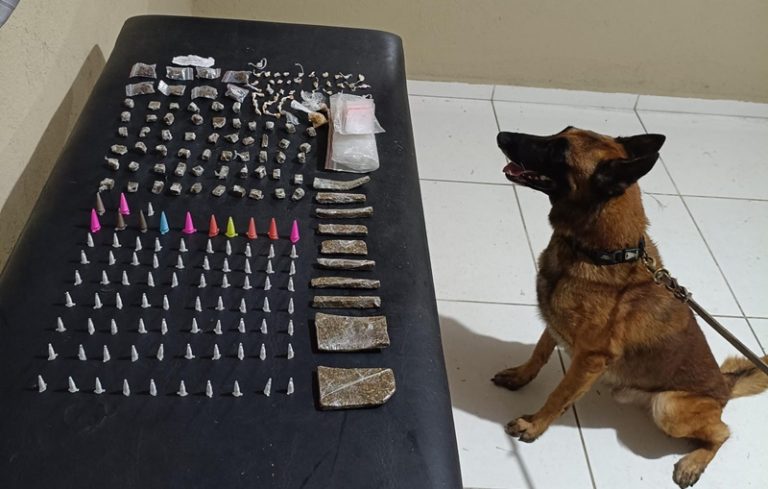 Cão detector encontra vasta quantidade de entorpecentes em ponto de venda ilícito