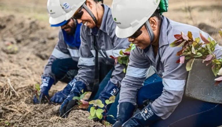 Suzano abre cadastro para futuras oportunidades de trabalho para PCD
